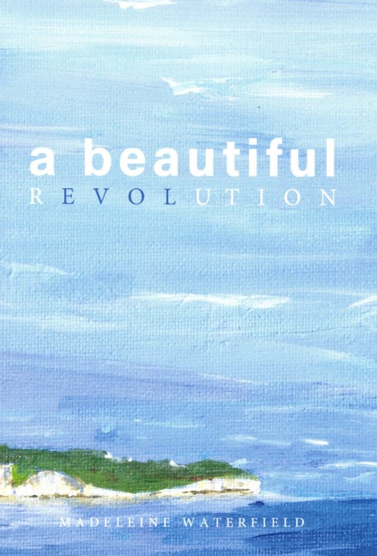 Cover of the book A Beautiful evolution